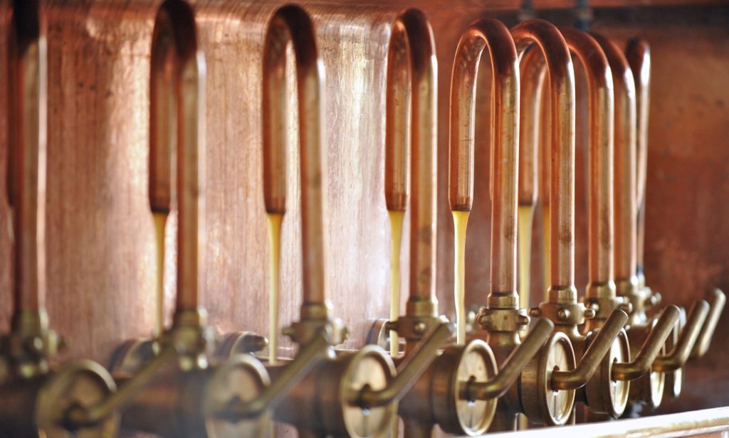Cos’è il mosto di una birra?